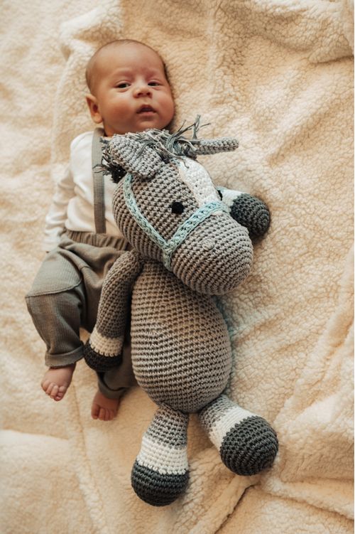 Cavalo Azul XG Amigurumi Crochê