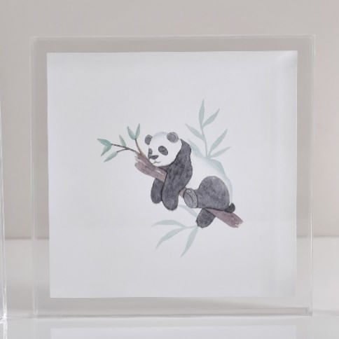 quadro-pandas-2