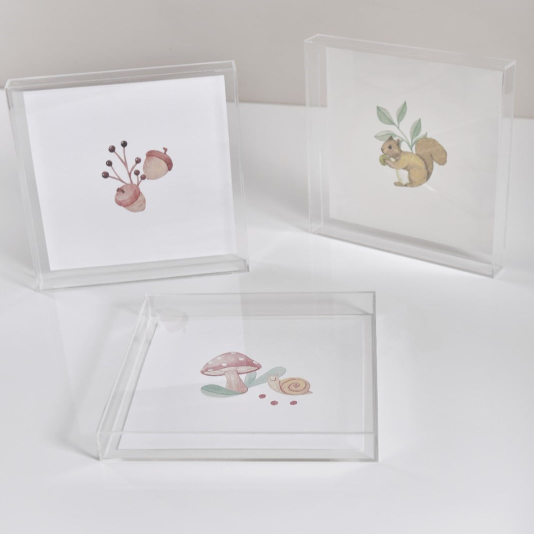 trio-quadrinhos-jardim-dos-cogumelos--1-