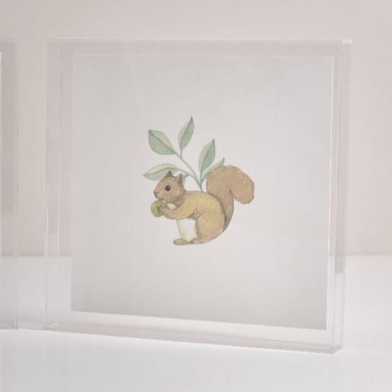 quadro-cogumelos-3